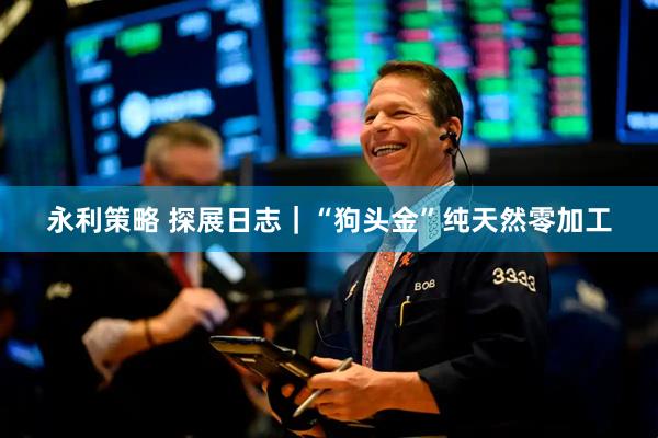 永利策略 探展日志｜“狗头金”纯天然零加工